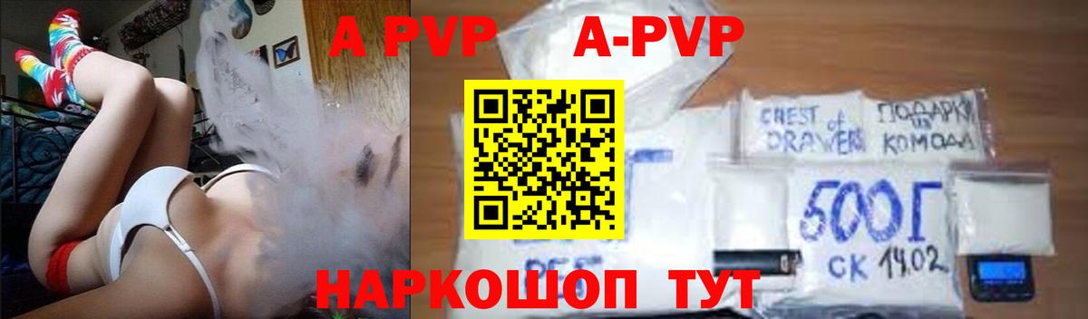 A PVP СК Губкин